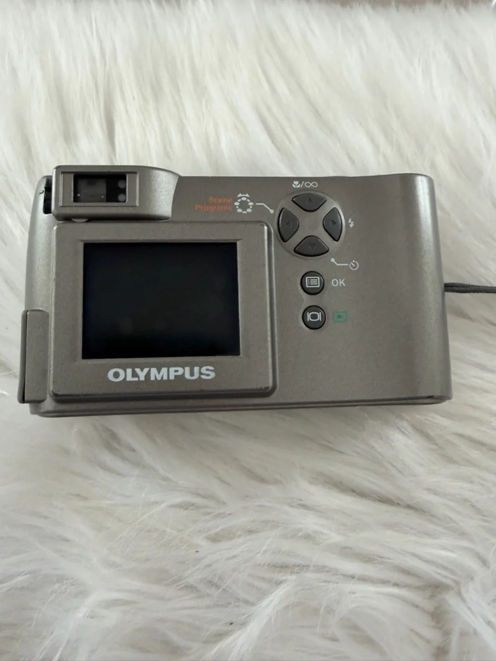 Olympus D-550 Zoom Silver Compact Digital Camera